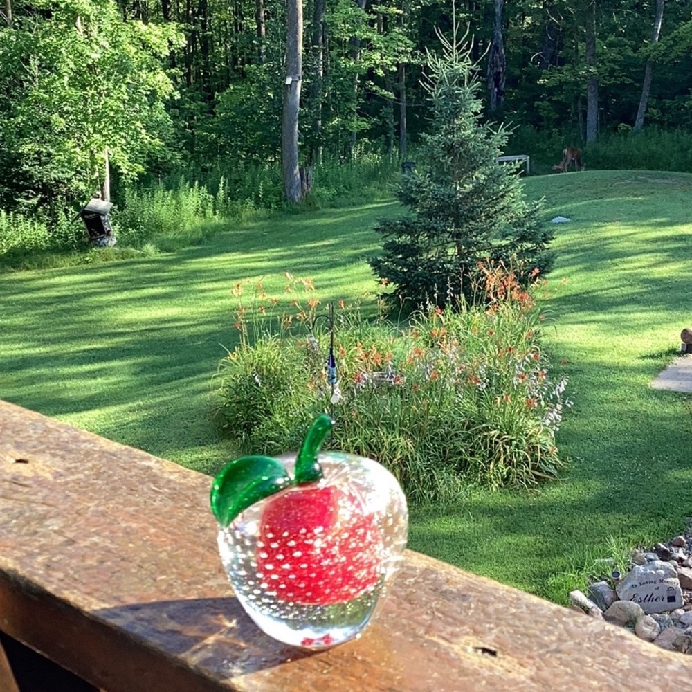 🍎 MURANO Glass, Apple Paperweight, pristine used condition